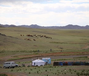 Farmstead in the Gobi Desert