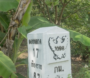 Decorated Milepost and bananas, the white really stood out on these