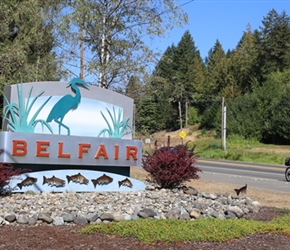 Out of Belfair