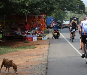 Near -Jaffna Junction Anuradhapura