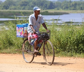 Bicycle ice cream seller