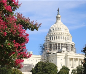 The United States Capitol, often called the Capitol Building, is the home of the United States Congress and the seat of the legislative branch of the U.S. federal government.