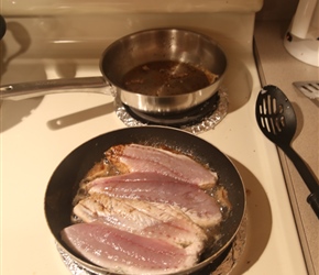 I bought enough Bluefish for everyone and fried it up for dinner