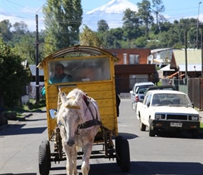 Horsedrawn float at Villarica. I saw this passing and chased it down over a number of streets to get this picture, need a bicycle for that