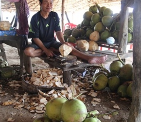 Coconut cutter