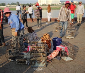 Birds for sale on Riverside Walk Phnom Penh