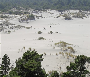Oregon Dunes.  In 1972, Congress designated this 31,500-acre portion of the Siuslaw National Forest as a National Recreation Area in recognition of its unique values.