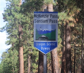 McKenzie Scenic Path Sign