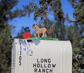 Ranch letter box