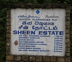 Sign pointing to various parts of the tea plantations