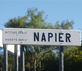 Welcome to Napier