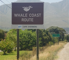 On the whale route