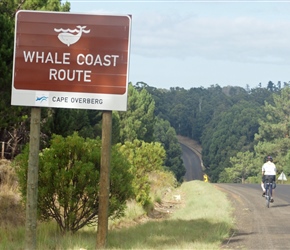Shery passes the Whale Coast sign