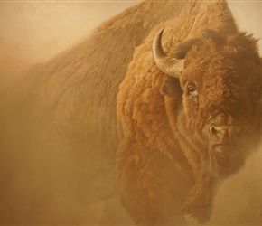 Chief (1997) Acrylic on canvass by Robert Bateman. National Museum of Wildlife Art
