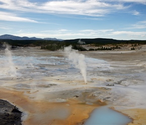 Porcelain Springs at Norris. The mineral, siliceous sinter, is brought to the surface by hot water and forms a "sheet" over this flat area as the water flows across the ground and the mineral settles out.