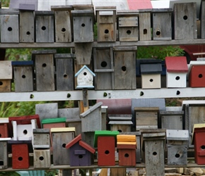 Bird Boxes near Waites River