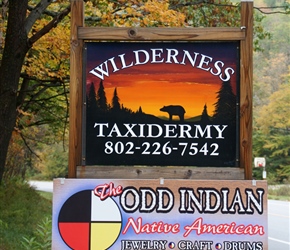 Taxidermy and Indians
