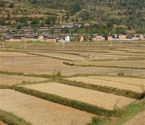 Fields farmers and village