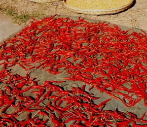 Corn and chillis drying in the sun, a colourful interlude to a ride