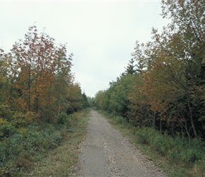 Old Railway Path