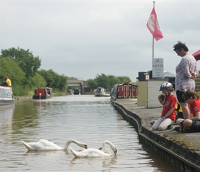 Catherine and Christopher feed the swans at the marina near Nantwich