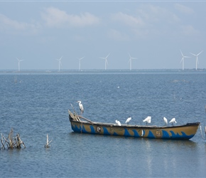 Egrets rest on a boat on the causeway with windfarms in the distance