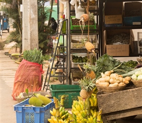 Fruit and vegetables in Boralanda