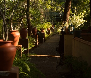 Early morning light at Safari Lodge along the pathway to the individual chalets