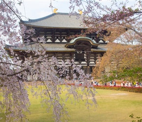 Todai-ji-Daibutsuden temple in Nara