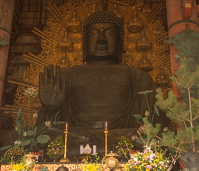 Golden Buddha in Todai-ji-Daibutsuden temple