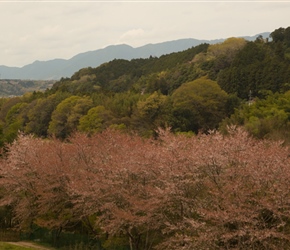 View to distant hills across the Yoshino River