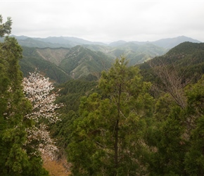 Koyasan is at the top of a big hill, here's the view at the start of the descent