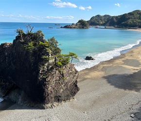 Hiwasa sat beside Ohama Beach, where the turtles laid their eggs