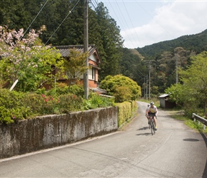 Having left Susaki where we bought lunch, we turned onto a beautiful lane that climbed gradually through the trees