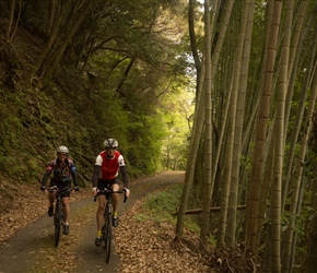 Once we'd croseed the river, there was a beautiful 8km strtch along a narrow lane passing enormous bamboo