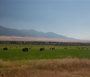 Round Bales