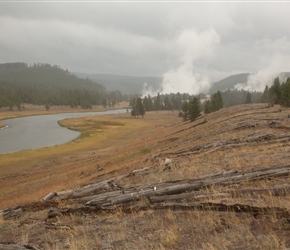 Logs and the Firehole River