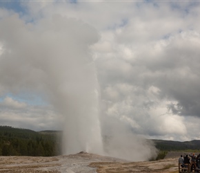 Old Faithful