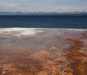 Colours flowing into Yellowstone Lake