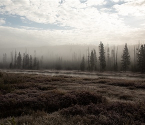 Mist over Lewis River