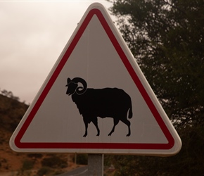 Goat signpost